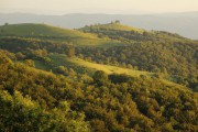 Rovensko